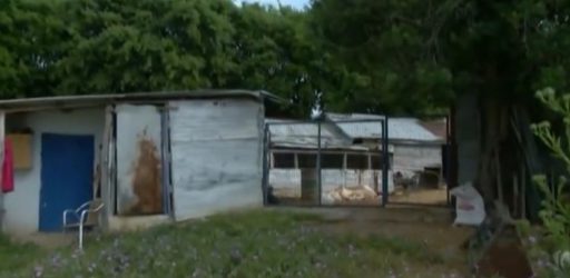 Φως στο Τούνελ: Σοκάρουν τα ευρήματα του ιατροδικαστή για την υπόθεση της κτηνοτρόφου από την Καβάλα (ΒΙΝΤΕΟ)