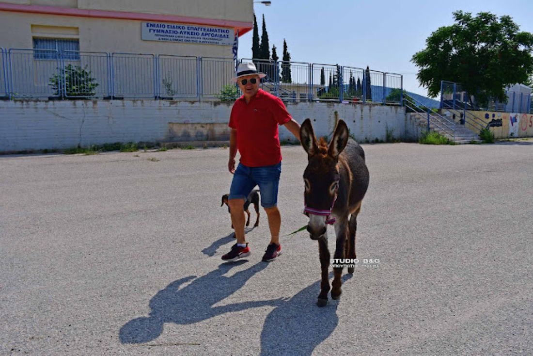 Ναύπλιο εκλογές γαϊδουράκι