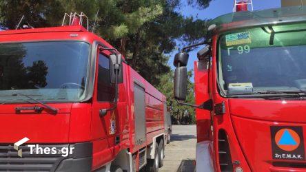 Θεσσαλονίκη: Φωτιά σε χαμηλή βλάστηση στα Κύμινα