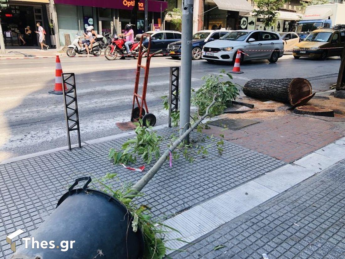 Θεσσαλονίκη Τσιμισκή αντικατάσταση δέντρων
