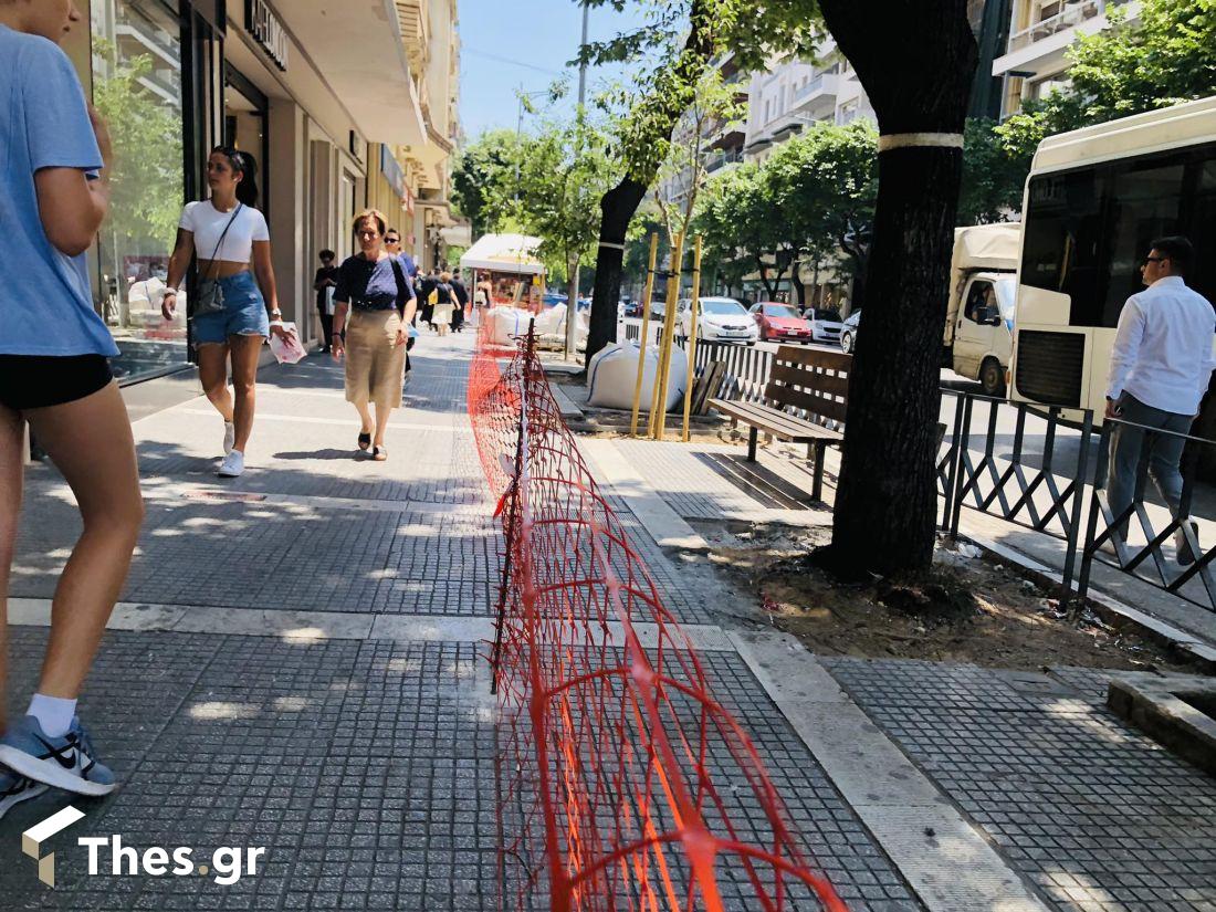 Θεσσαλονίκη Τσιμισκή αντικατάσταση δέντρων