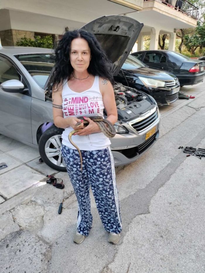 Θεσσαλονίκη φίδι αυτοκίνητο
