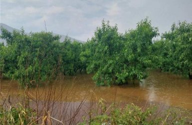 Καταστράφηκαν ολοσχερώς από την βροχή καλλιέργειες σε Πέλλα και Σέρρες