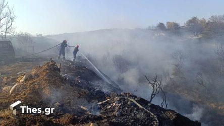 φωτιά Προφήτης δασική έκταση Θεσσαλονίκη