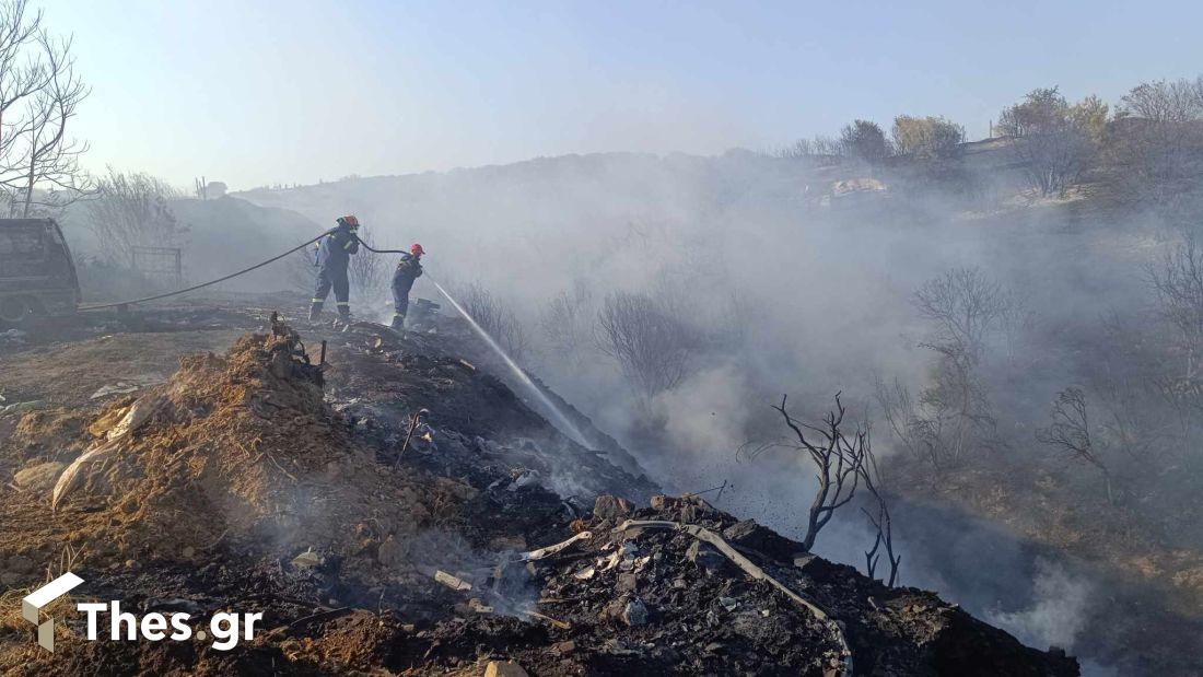 φωτιά Προφήτης δασική έκταση Θεσσαλονίκη