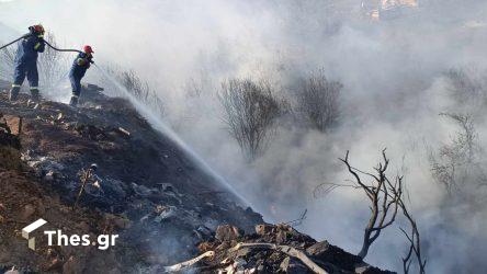 Εξι πτητικά μέσα και πάνω από 60 πυροσβέστες στη μεγάλη φωτιά στην Κεφαλονιά (ΒΙΝΤΕΟ)