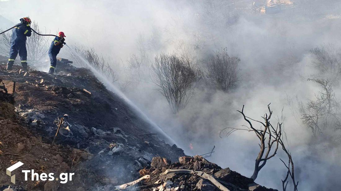 φωτιά Προφήτης δασική έκταση Θεσσαλονίκη