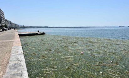 Θεσσαλονίκη: Γέμισε φυτοπλαγκτόν ο Θερμαϊκός – Εντονη η δυσοσμία