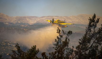 Φωτιά σε αγροτοδασική έκταση στην Τανάγρα Βοιωτίας