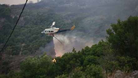 Σέρρες: Συναγερμός για φωτιά στην Τριανταφυλλιά Βισαλτίας – Σηκώθηκε ελικόπτερο