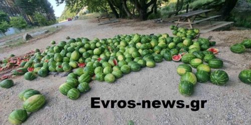 Αλεξανδρούπολη: Αρπαξε φορτηγάκι και σκόρπισε καρπούζια για να “φορτώσει” μετανάστες