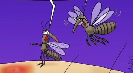 Το χιουμοριστικό σκίτσο του Αρκά για το δράμα με τα κουνούπια που έχουμε κάθε καλοκαίρι