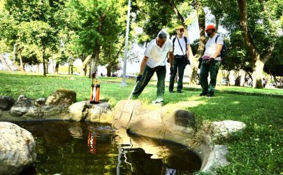 Δήμος Θεσσαλονίκης: Δράση για την καταπολέμηση των κουνουπιών στο πάρκο Ξαρχάκου (ΦΩΤΟ)