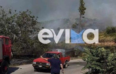 Νέα φωτιά στην Εύβοια: Οι φλόγες έφτασαν μέσα στο χωριό Κοντοδεσπότι