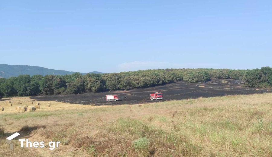 φωτιά Ασκός Θεσσαλονίκη