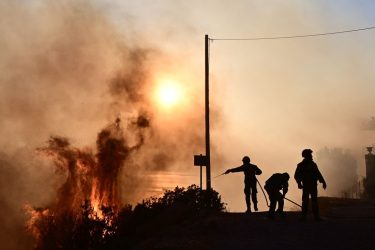 Φωτιά στη Μαγνησία: Αγνοείται 45χρονος βοσκός που πήγε να σώσει τα ζώα (ΦΩΤΟ)