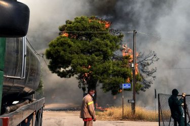 Φωτιές: Βελτιωμένη η εικόνα σε Πύργο και Αρχαία Ολυμπία