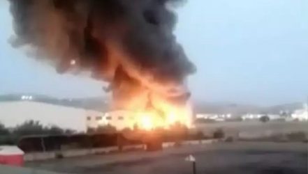 Οινόφυτα: Ξέσπασε μεγάλη φωτιά σε εργοστάσιο (ΒΙΝΤΕΟ)