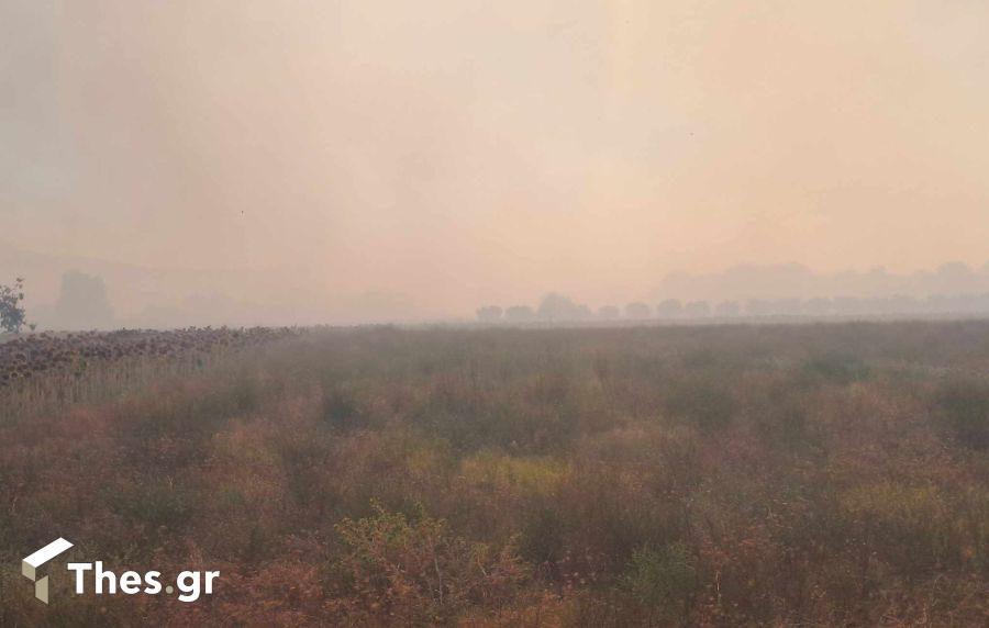 Μεγάλη φωτιά ανάμεσα σε Προφήτη και Νυμφόπετρα