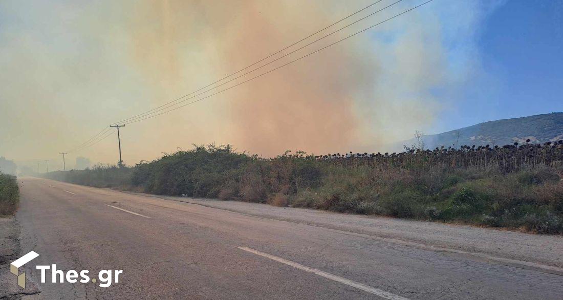 Μεγάλη φωτιά ανάμεσα σε Προφήτη και Νυμφόπετρα