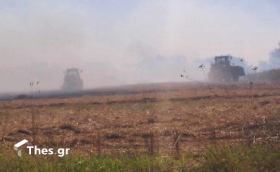 Θεσσαλονίκη: Υπό μερικό έλεγχο η φωτιά που ξέσπασε κοντά στον Προφήτη