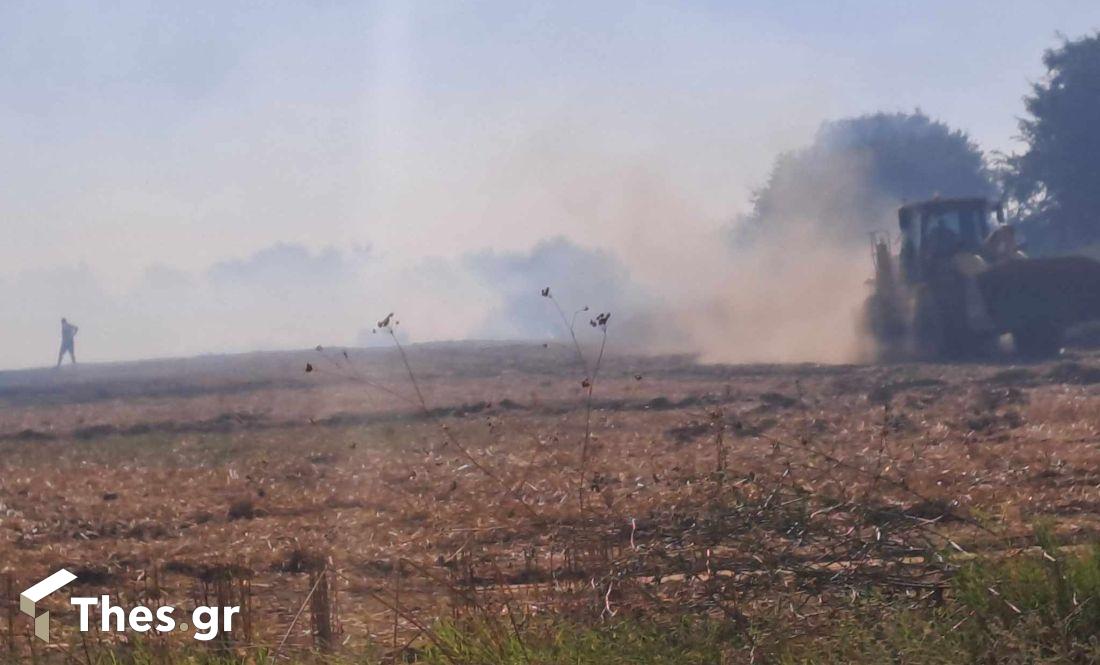 Μεγάλη φωτιά ανάμεσα σε Προφήτη και Νυμφόπετρα