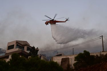 Πυρκαγιά σε δασική έκταση στο Ανω Γραμματικό στην Πέλλα