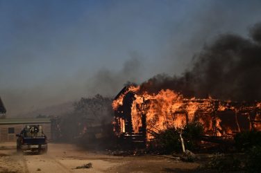 Φωτιά στον Κουβαρά: Κάηκε καταφύγιο ζώων στο Λαγονήσι