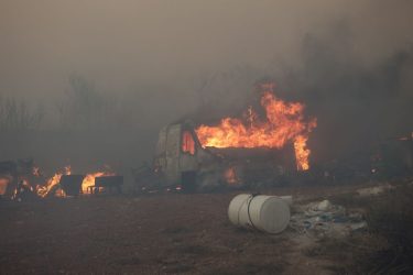 Φωτιά στην Αλεξανδρούπολη: Η Πολιτική Προστασία ζήτησε την ενεργοποίηση του Copernicus