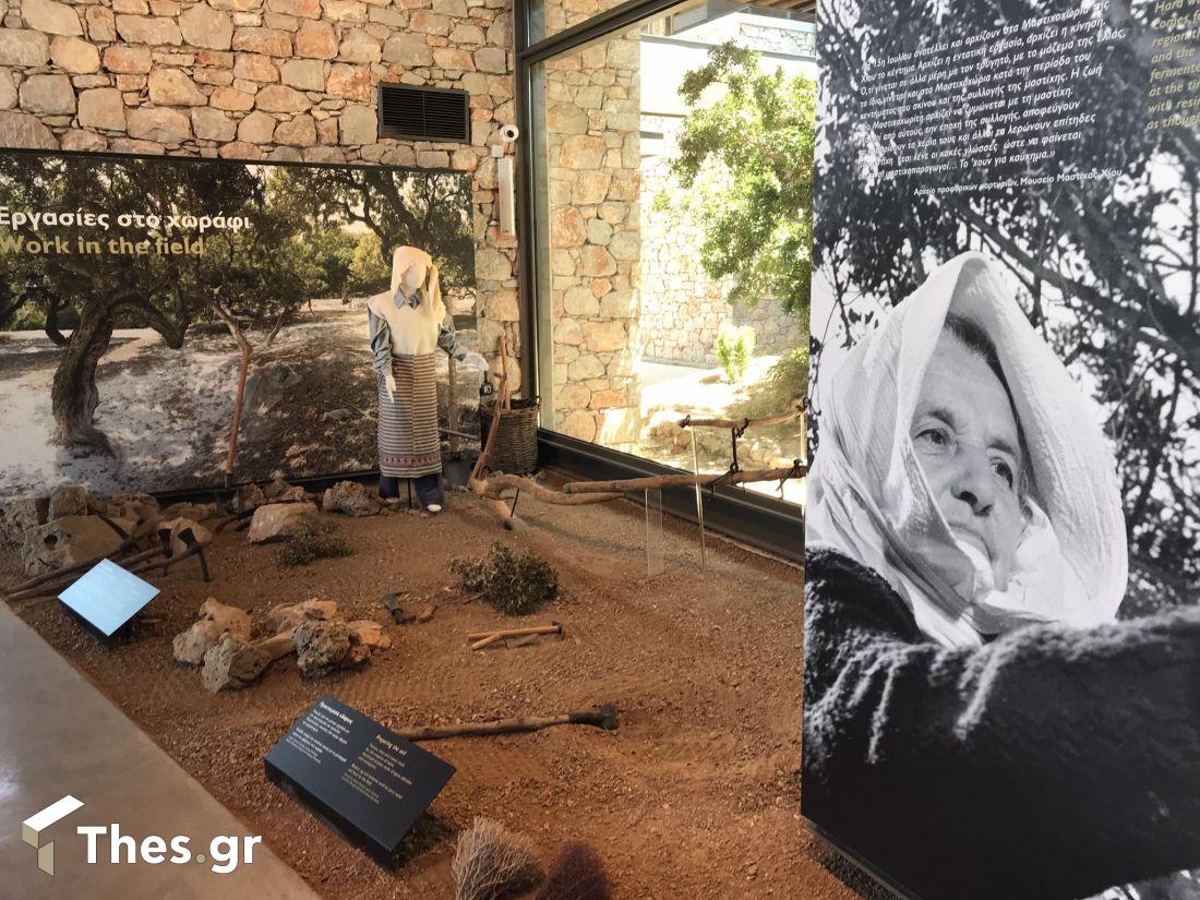 Μουσείο Μαστίχας Χίου μαστίχα Χίος