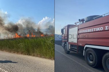 Χαλκιδική: Καίγονται στρέμματα κοντά στη Μεταμόρφωση – Μάχη να τεθεί υπό έλεγχο η φωτιά