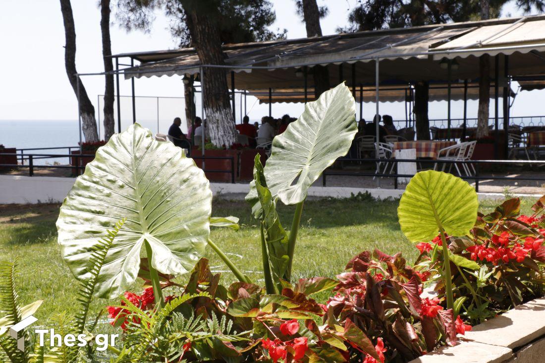 Αγνάντι Παραλία Επανομής Επανομή ψαροταβέρνα φαγητό ψάρια θαλασσινά