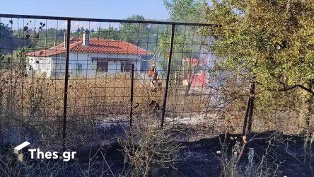Πυρόπληκτοι: Η προθεσμία για τις αιτήσεις στο arogi.gov.gr