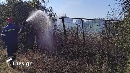 Χαλκιδική: Φωτιά σε ξερά χόρτα κοντά σε σπίτια στην παραλία του Αγίου Μάμα