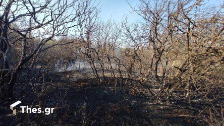 Χέρσο Κιλκίς: Υπό μερικό έλεγχο η πυρκαγιά – Φόβος για αναζωπυρώσεις (BINTEO)