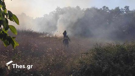 Υπό έλεγχο η φωτιά στον Λαγκαδά – Σε επιφυλακή οι πυροσβεστικές δυνάμεις