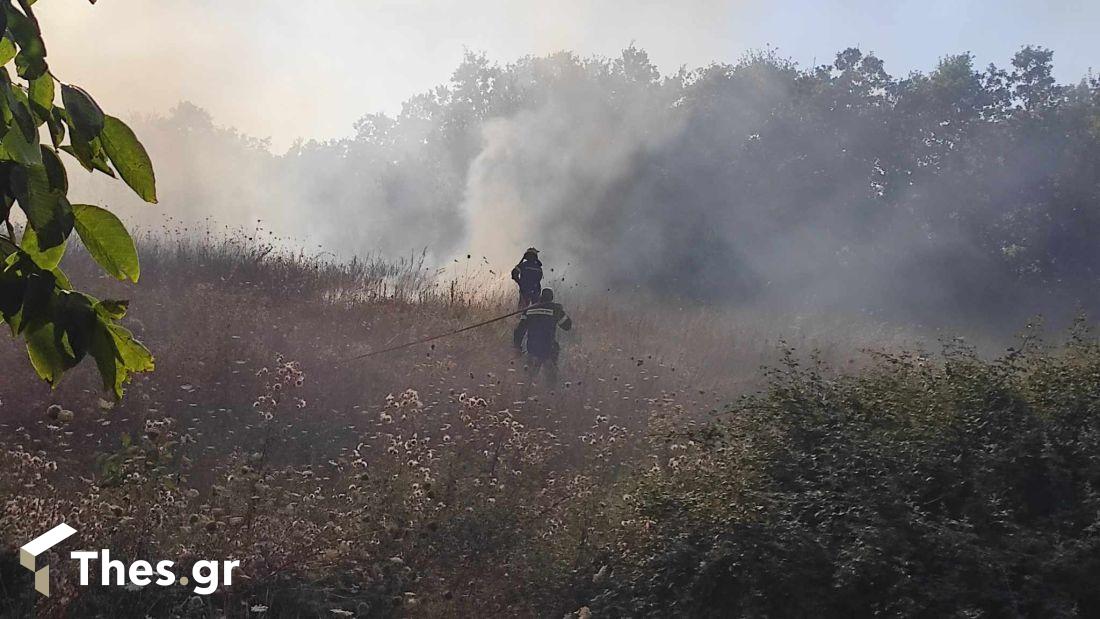 φωτιά Φίλυρο Παιδικό Χωριό Θεσσαλονίκη