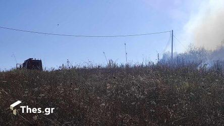 Θεσσαλονίκη: Οριοθετήθηκε η φωτιά στον Λαγκαδά