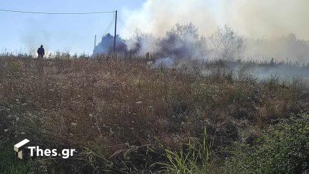 Θεσσαλονίκη: Υπό έλεγχο η φωτιά στο Δερβένι – Επιχειρούν ελικόπτερα (ΒΙΝΤΕΟ)