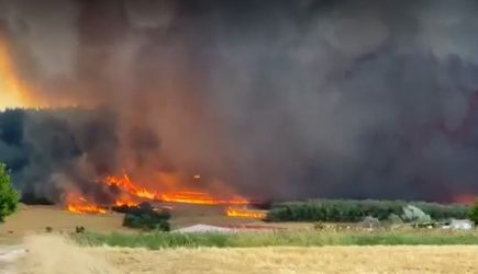 Φωτιά στη Ροδόπη: «Βρέθηκαν εμπρηστικοί μηχανισμοί», λέει ο αντιπεριφερειάρχης