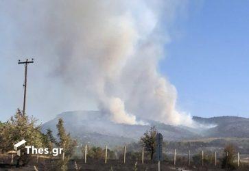 φωτιά Αλεξανδρούπολη πυροσβεστική