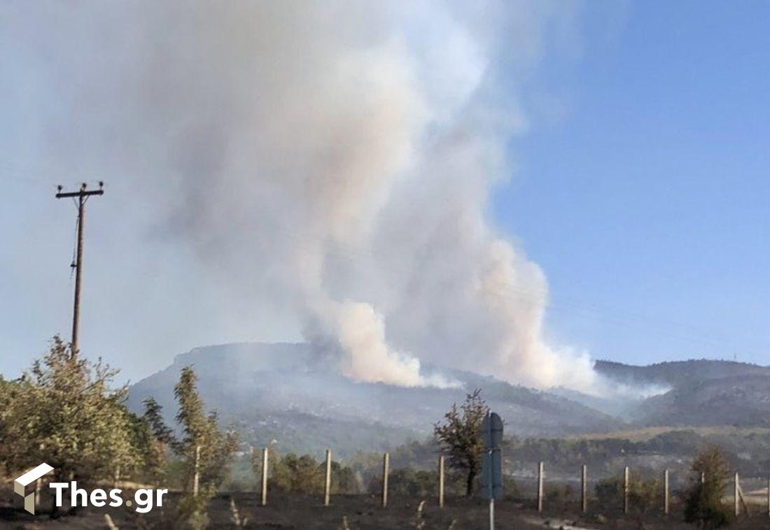 φωτιά Αλεξανδρούπολη πυροσβεστική