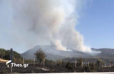 φωτιά Αλεξανδρούπολη πυροσβεστική