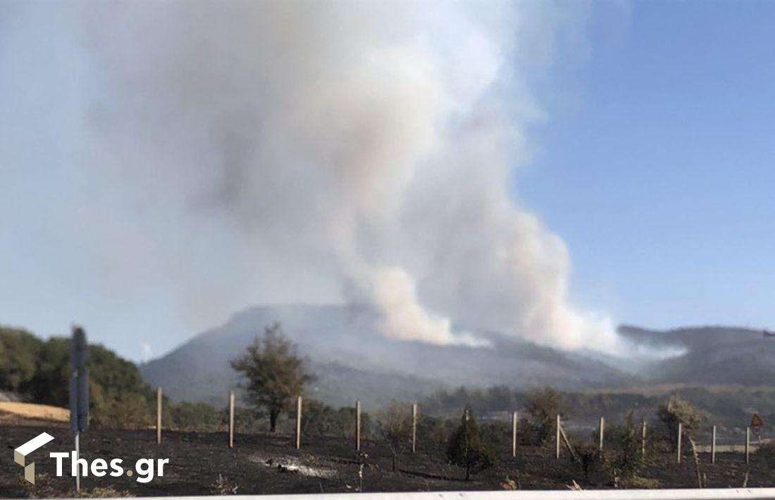 φωτιά Αλεξανδρούπολη πυροσβεστική