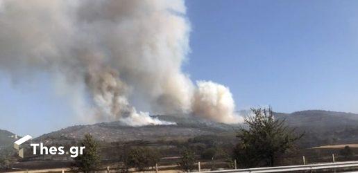 φωτιά Αλεξανδρούπολη πυροσβεστική