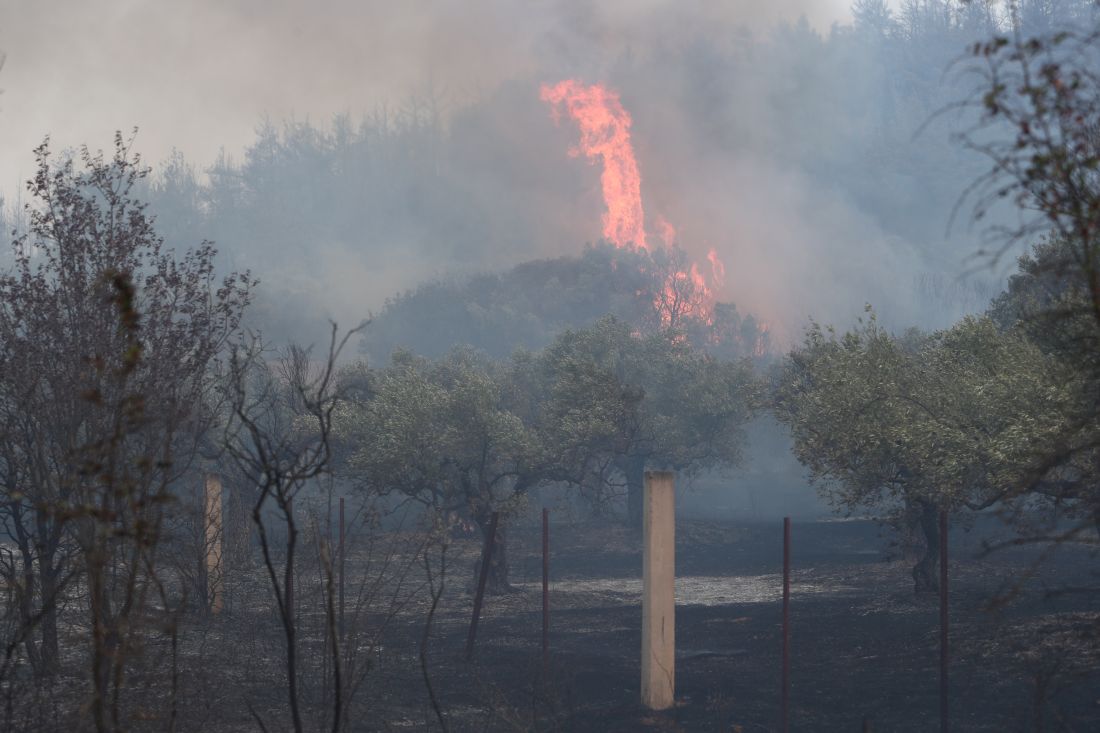 φωτιά Εβρος Αλεξανδρούπολη