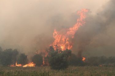 Φωτιές: Για 10η μέρα καίει η πυρκαγιά στον Εβρο – “Μάχη” με τις αναζωπυρώσεις στη Ροδόπη