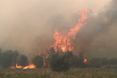 Φωτιά στον Εβρο: Νέο μήνυμα του “112” στο Σουφλί (ΒΙΝΤΕΟ)