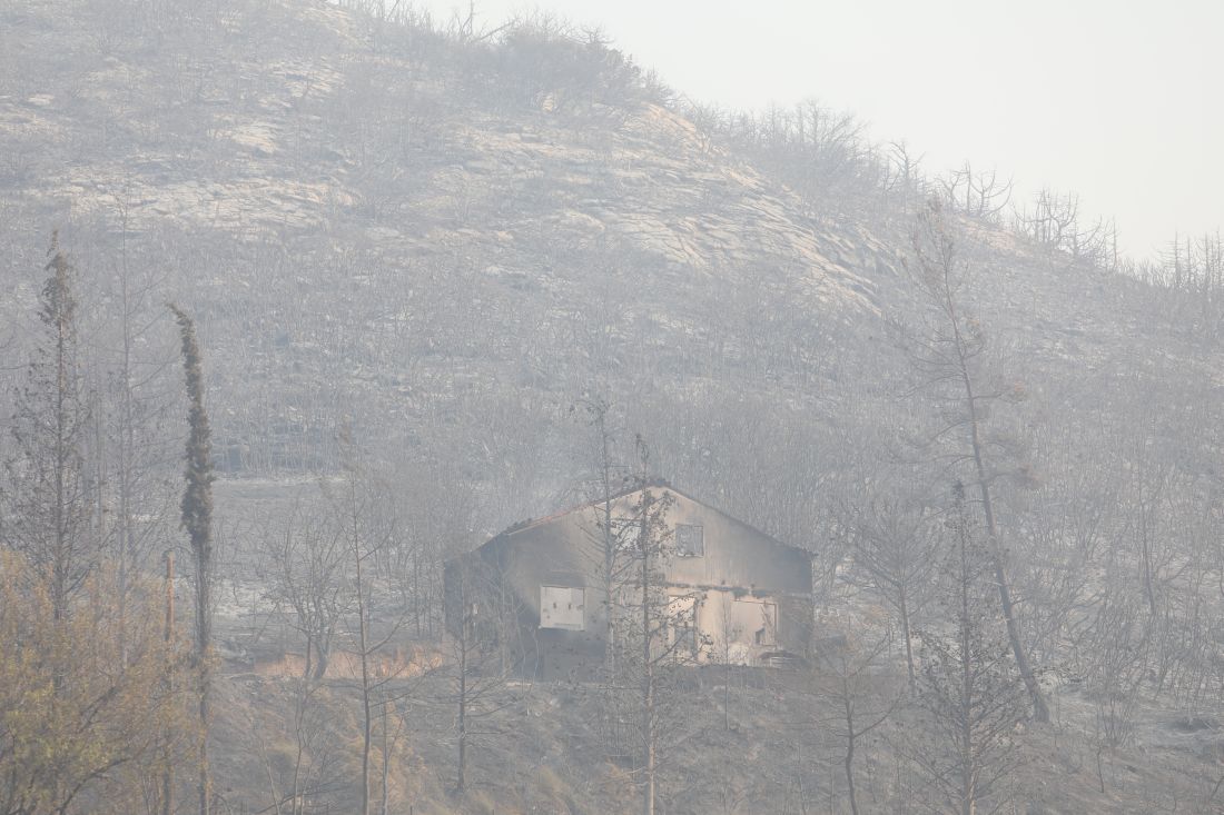 φωτιά Εβρος Αλεξανδρούπολη