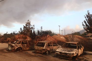 Φωτιές στην Ελλάδα: Εγιναν στάχτη 617000 στρέμματα γης στον Εβρο και 50000 στη Φυλή